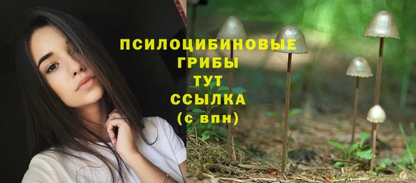 дурь Абаза