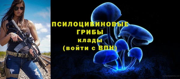 спайс Надым