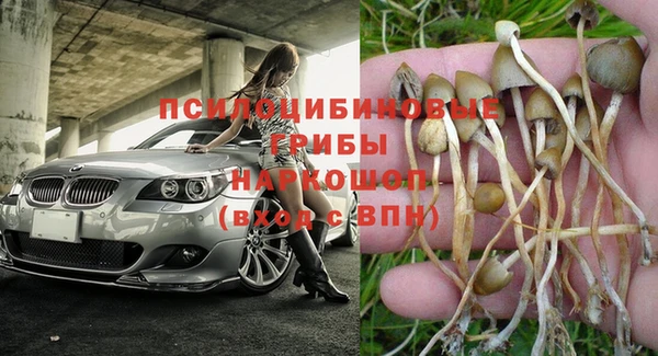 дурь Абаза