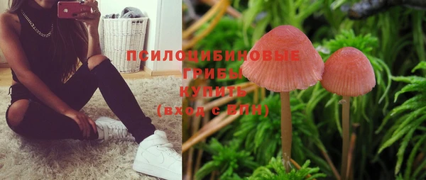 Альфа ПВП Абдулино