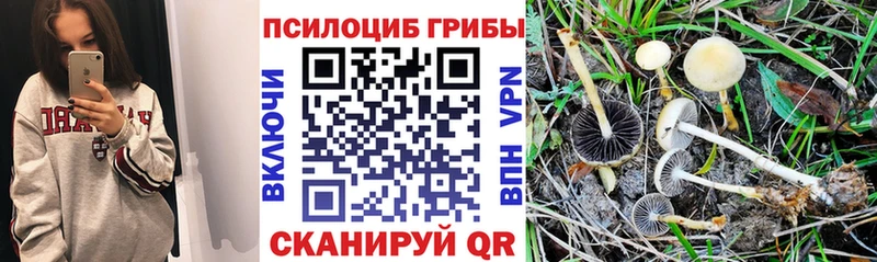 Псилоцибиновые грибы Magic Shrooms Рассказово
