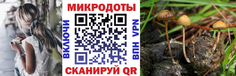 Псилоцибиновые грибы Magic Shrooms Рассказово